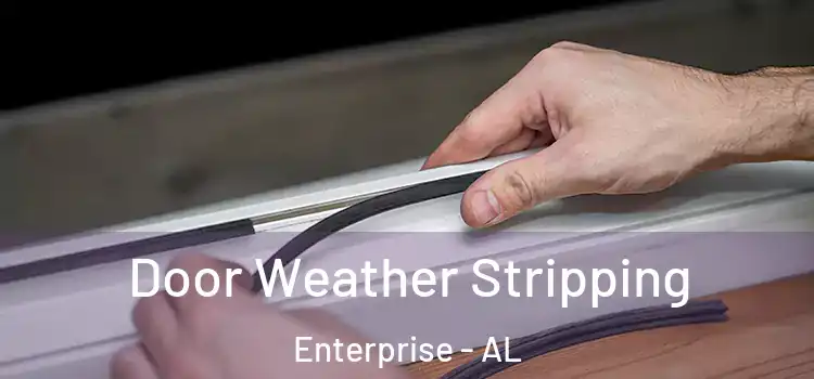 Door Weather Stripping Enterprise - AL