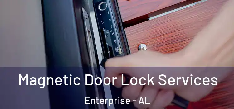 Magnetic Door Lock Services Enterprise - AL